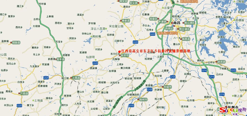【成活率高,养殖周期短,江西泥鳅养殖】-江西省高安市图片