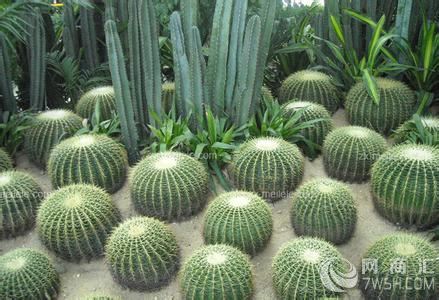 【法国迪奥(Dior)香水进口清关公司】-华宇货代