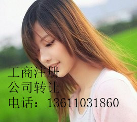 【汽车租赁公司注册资本的要求创投财富张美月