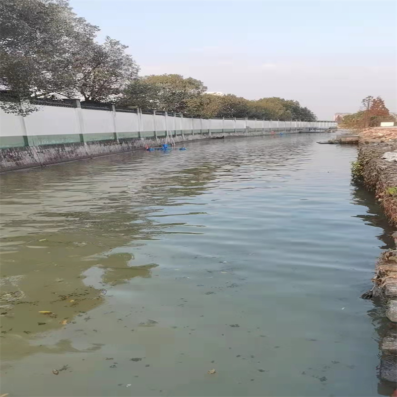 黑臭水体治理