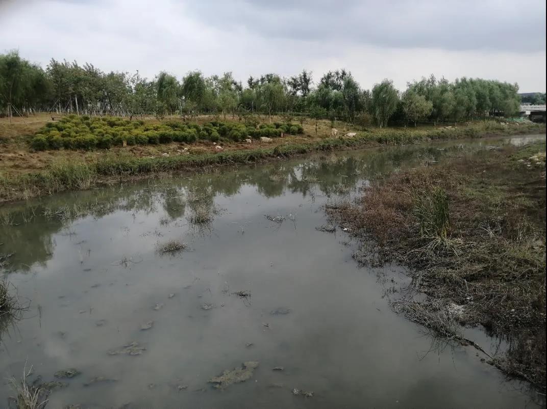 城市农村黑臭水体治理工程矿物净化剂