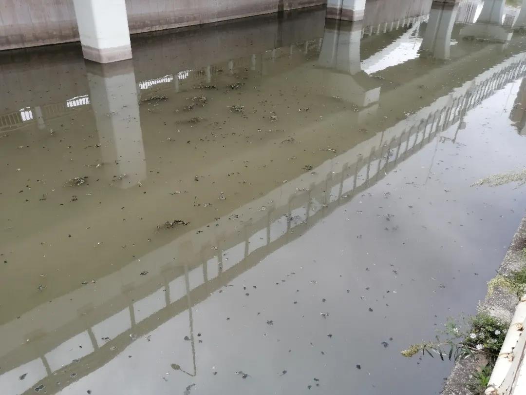 城市农村黑臭水体治理工程矿物净化剂