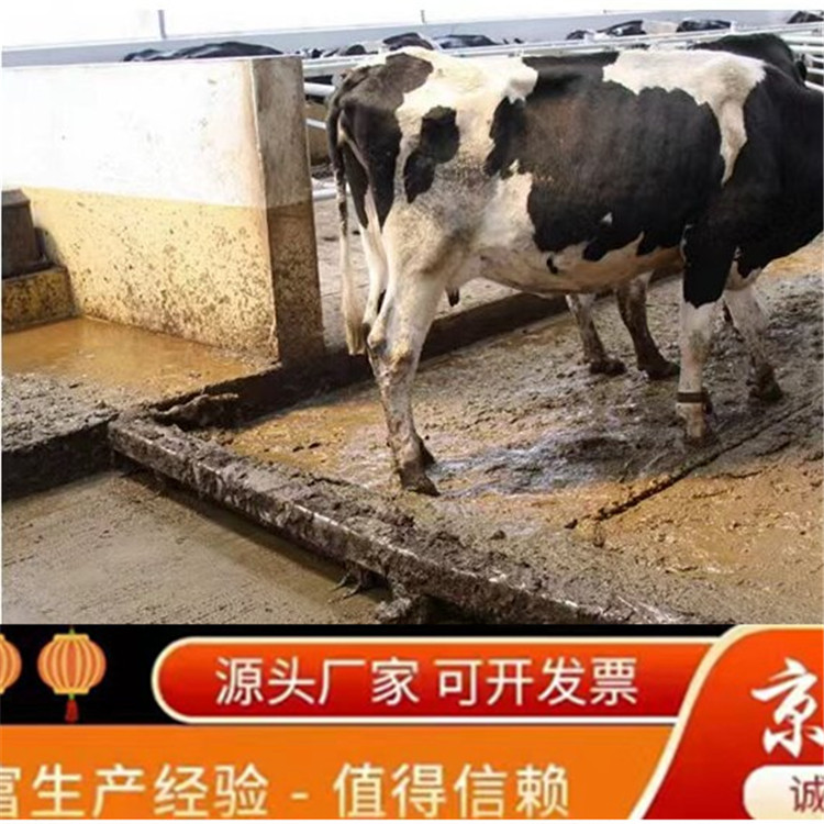 京金机械养牛刮粪机泊头市京金机械设备有限公司