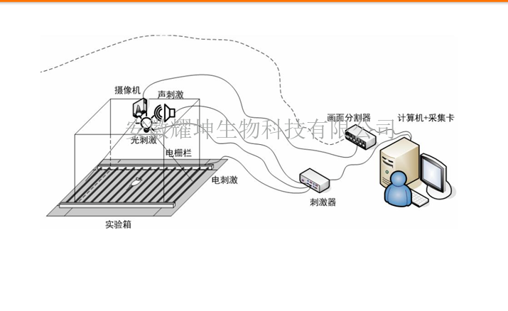 安徽耀坤ZL-XEYE小动物多通道恐惧实验系统