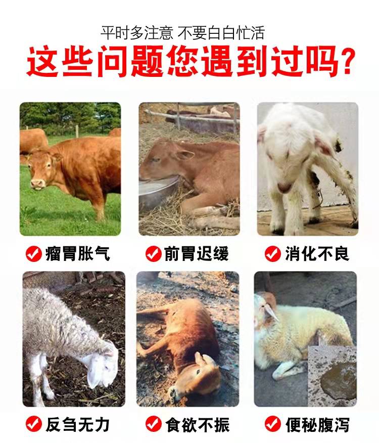 瘤胃胀气、消化不良、反刍无力、便秘腹泻