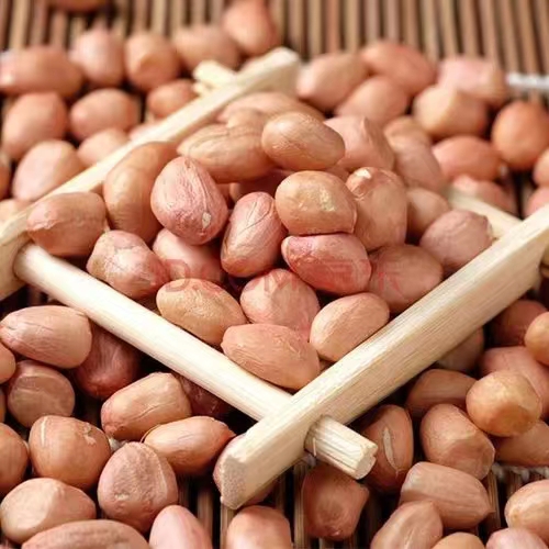 阿根廷花生进口清关小知识