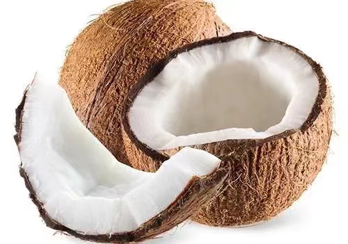 泰国椰子进口手续清关简单好操作