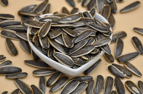 哈萨克斯坦克葵花籽进口清关知识