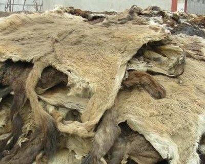 一分钟教会您驴皮进口清关所需材料