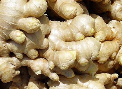 生姜出口报关问题一览