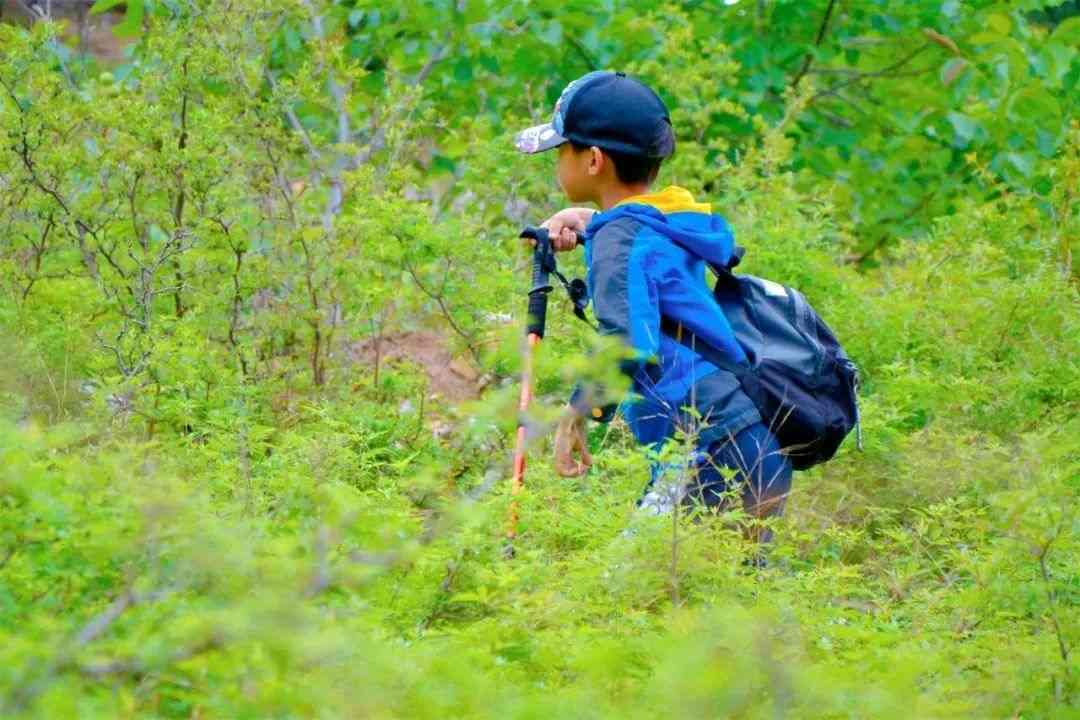 苏州三六六社会实践中小学自然科考研学旅行山野徒步体验探索活动