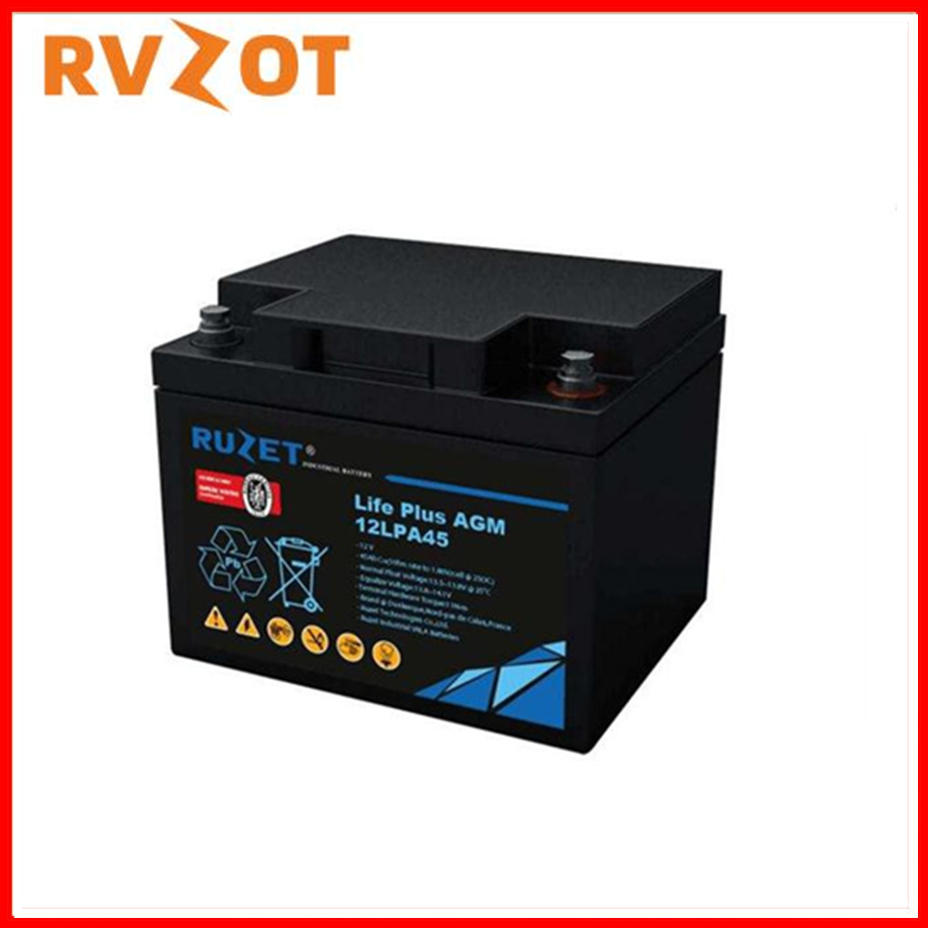 法国路盛蓄电池12V65AH/12LPA65免维护铅酸UPS 阀控密封式 RUZET