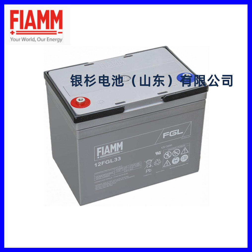 意大利FIAMM非凡蓄电池12VSP55直流屏UPS电源太阳能12V55Ah原装