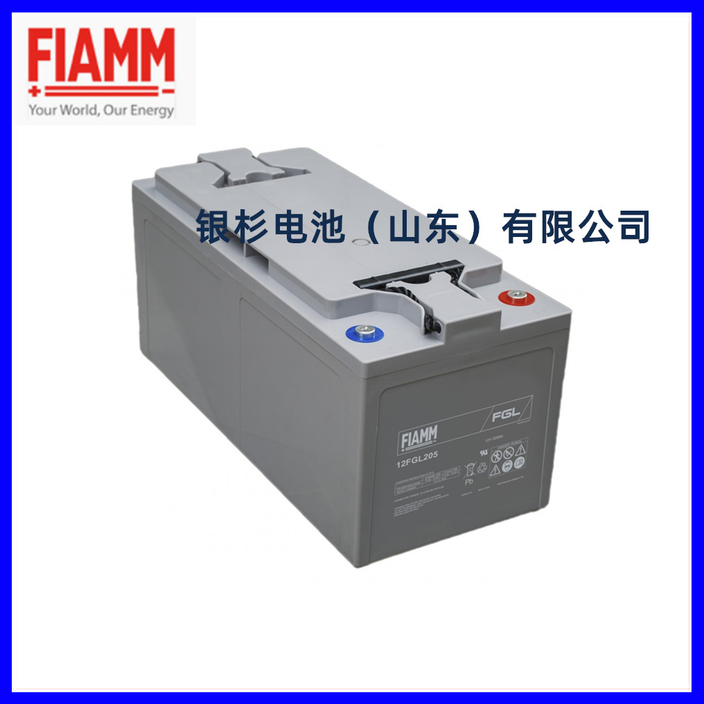 意大利FIAMM非凡蓄电池12VSP55直流屏UPS电源太阳能12V55Ah原装