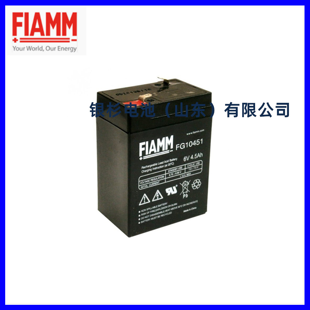 意大利FIAMM非凡蓄电池12VSP55直流屏UPS电源太阳能12V55Ah原装