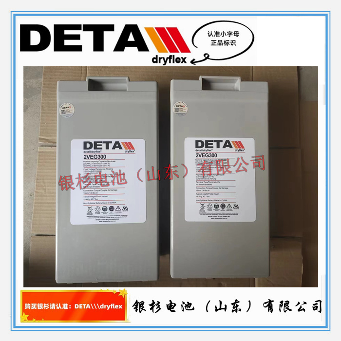 德国DETA银杉蓄电池6VEL110 6V-110Ah 通讯基站UPS直流屏用储能电池