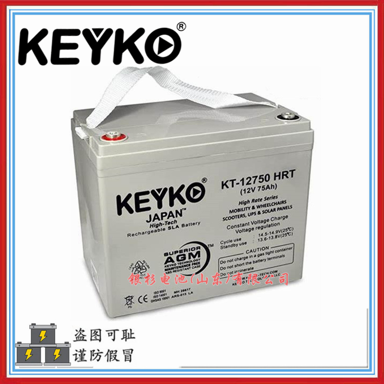 原装德国KEYKO蓄电池KT-12550 HRT应急照明系统备用12V-55Ah储能电池