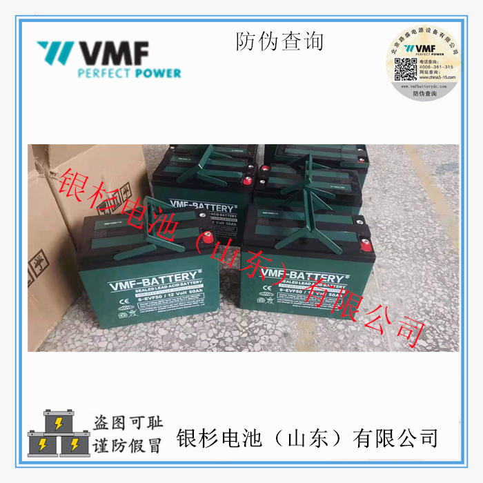 德国VMF蓄电池6-EVF-50电动道路车 三轮四轮 电动汽车用12V-50AH动力蓄电池