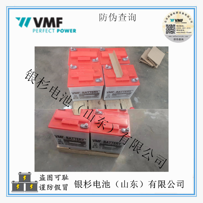 德国VMF蓄电池6-EVF-50电动道路车 三轮四轮 电动汽车用12V-50AH动力蓄电池