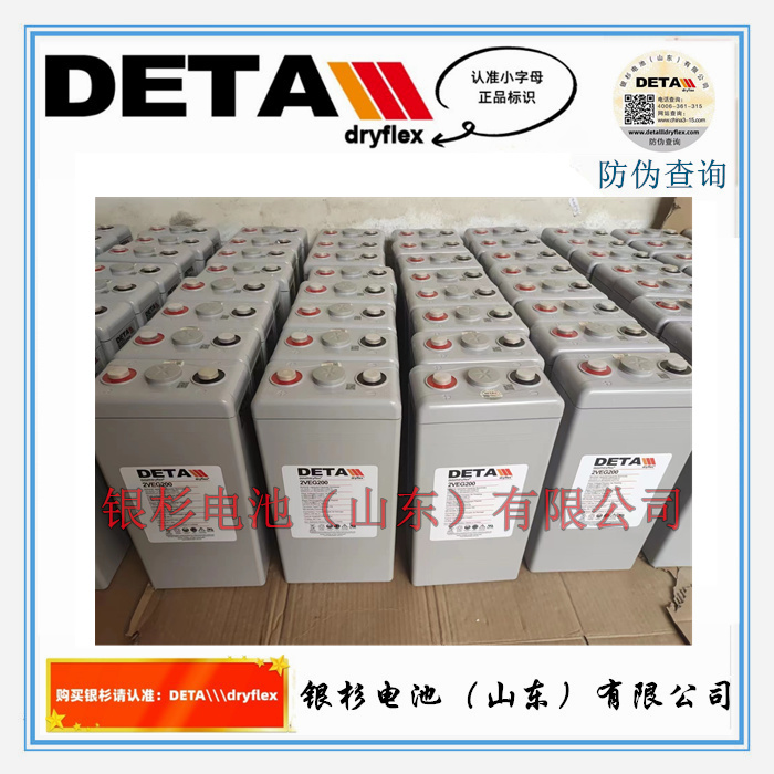 德国DETA银杉电池2VEG600 水电站 机房UPS直流屏用2V-600Ah胶体蓄电池