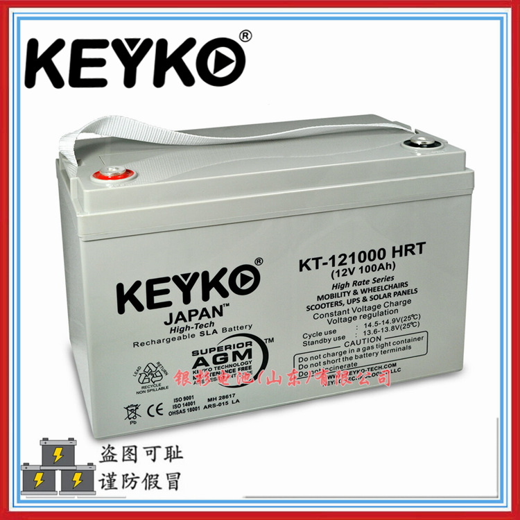 德国KEYKO蓄电池KT-121000 HRT机房UPS不间断电源用12V-100Ah铅酸电池