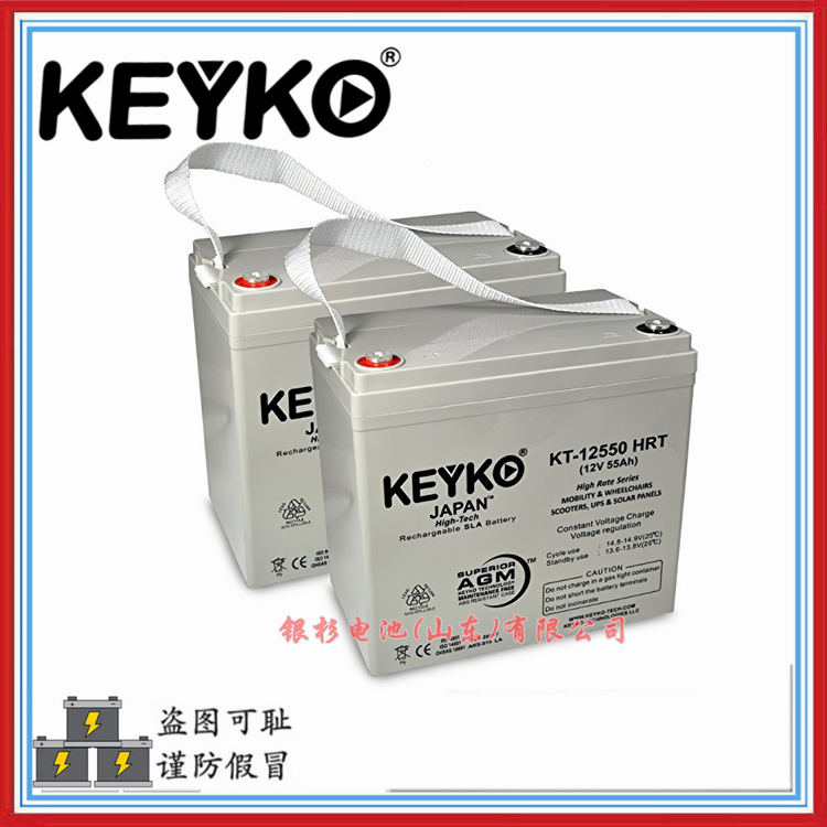 原装德国KEYKO蓄电池KT-12550 HRT应急照明系统备用12V-55Ah储能电池