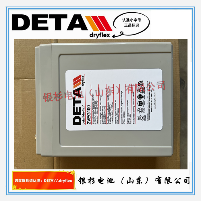 德国DETA银杉电池2VEG600 水电站 机房UPS直流屏用2V-600Ah胶体蓄电池