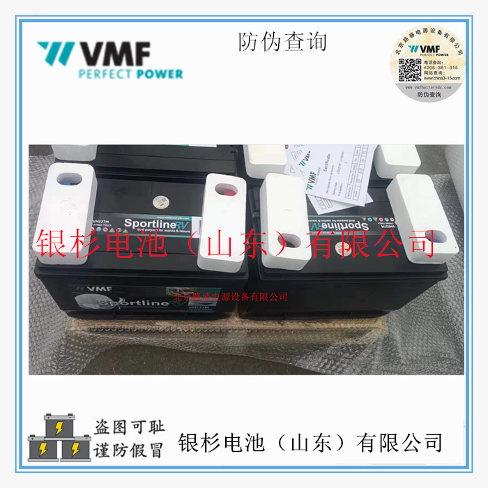 德国VMF蓄电池6-EVF-50电动道路车 三轮四轮 电动汽车用12V-50AH动力蓄电池