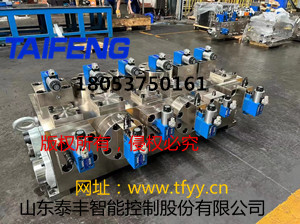 供应泰丰QC12Y-ZW6X3200CV插装阀