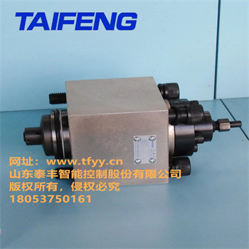 泰丰厂家供应TCF1-100B型充液阀