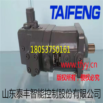 供应泰丰TFA11V075LRDS/11R-NZC12N00柱塞泵
