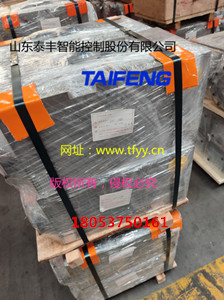 WC67Y-125D-00泰丰供应折弯机油缸