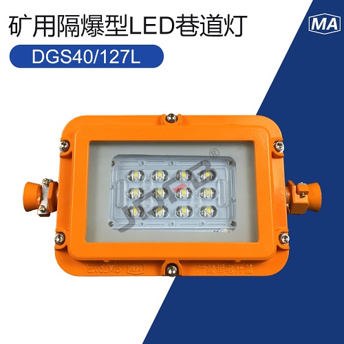DGS40/127L(A)-矿用隔爆型LED巷道灯