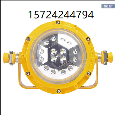 圆形DGS48/127L(A) 矿用隔爆型LED巷道灯