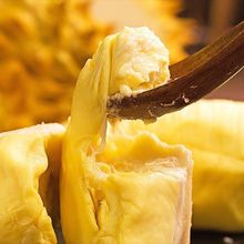 广西进口冷链冷鲜新鲜现摘现采马来西亚猫山王榴莲清关