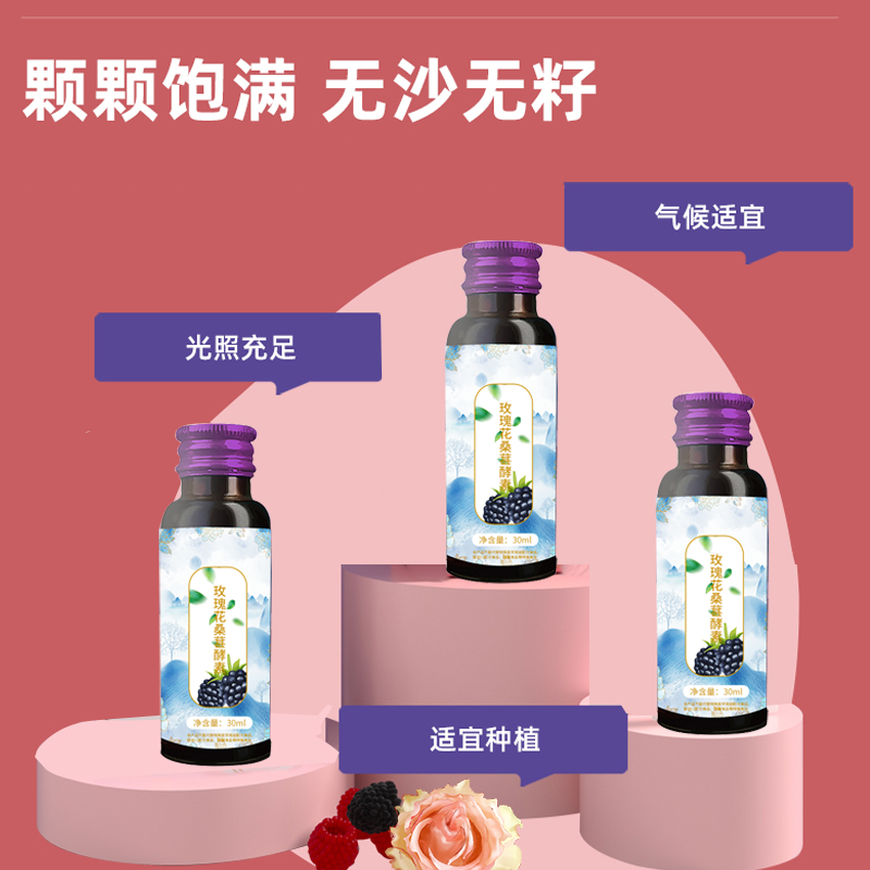 玫瑰花桑葚酵素代加工