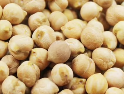 青岛鹰嘴豆进口代理