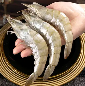 南美白虾进口代理操作