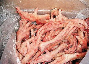 进口鸡爪清关的注意事项