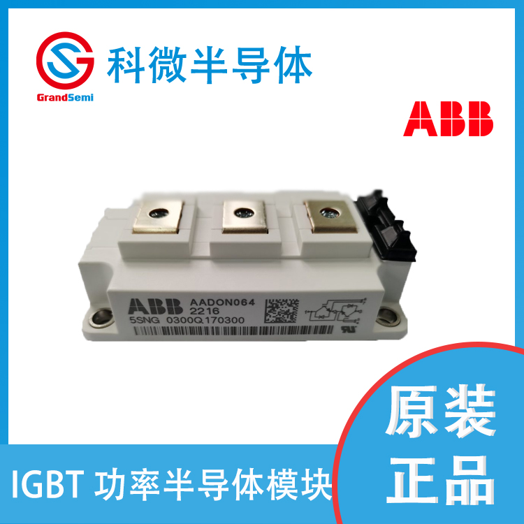 日立能源（原ABB)IGBT模块 5SNG0300Q170300   121