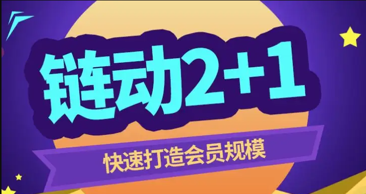 链动2+1模式开发系统定制