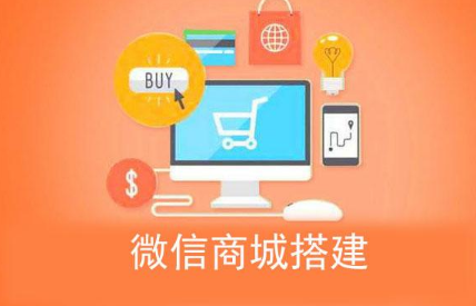 恩享易购模式代理系统开发