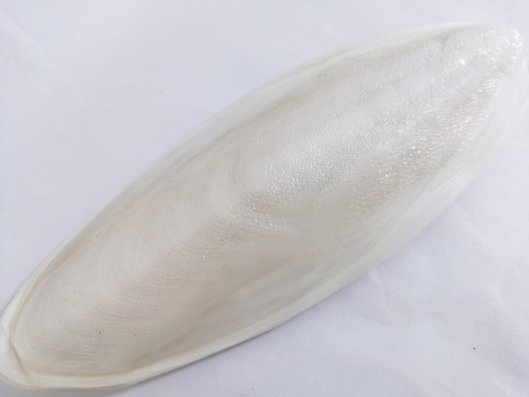 天津港进口摩洛哥墨鱼骨清关小节资料汇总