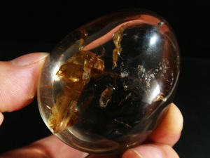 进口琥珀化石标本天津港进口报关流程