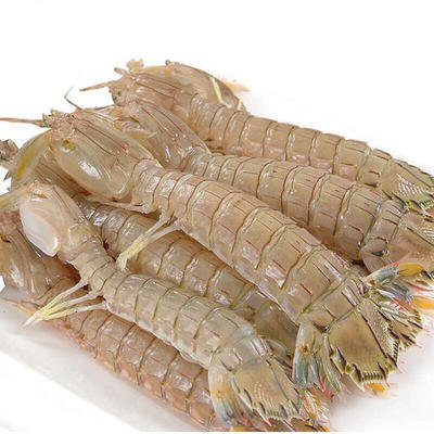 进口东南亚皮皮虾清关流程
