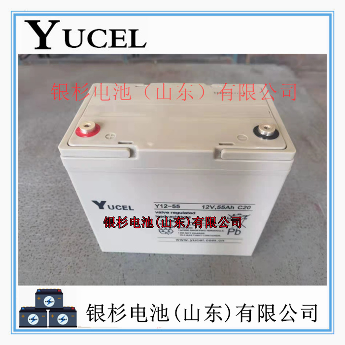 英国YUCEL蓄电池Y65-12机房UPS直流屏 通讯储能用12V-65AH储能电池