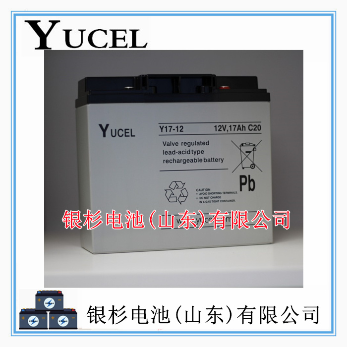 英国YUCEL蓄电池Y65-12机房UPS直流屏 通讯储能用12V-65AH储能电池