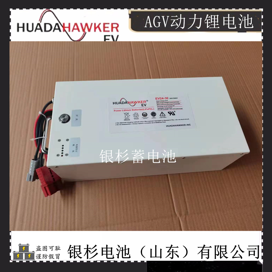 HUADAHAWKER牵引锂电池EV48-30磷酸铁锂电池48V-30AH AGV机器人用电池