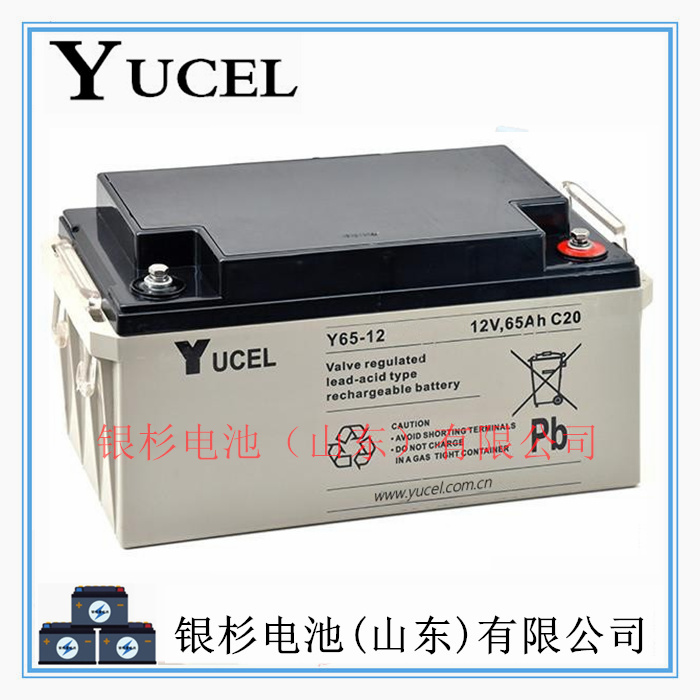 英国YUCEL蓄电池Y65-12机房UPS直流屏 通讯储能用12V-65AH储能电池