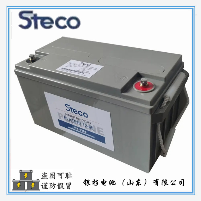 法国Steco时高PLATINE2-200机房储能基站 变电站用2V-200AH蓄电池